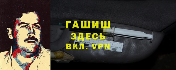 хмурый Гусев