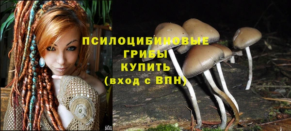 MDMA Premium VHQ Гусиноозёрск