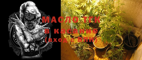 хмурый Гусев