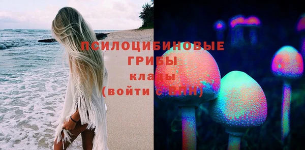 хмурый Гусев