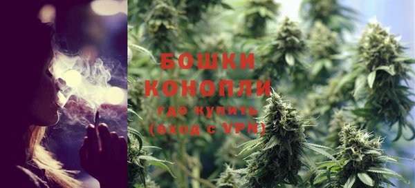 хмурый Гусев