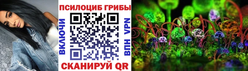 Галлюциногенные грибы GOLDEN TEACHER  MEGA как войти  Данилов 